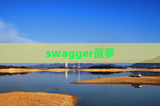swagger菠萝 swagger菠萝